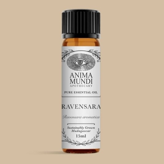 Anima Mundi Ravensara Essential Oil 15ml i gruppen Kropspleje / DIY Råvarer / Æteriske olier hos Rawfoodshop Scandinavia AB (AM105)