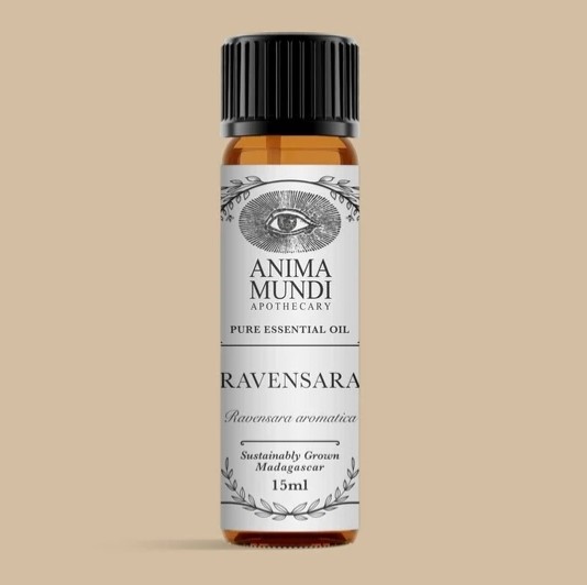 Anima Mundi Ravensara Essential Oil 15ml